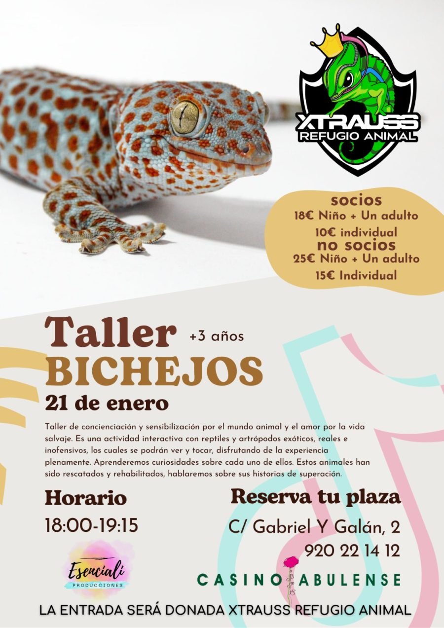 TALLER BICHEJOS