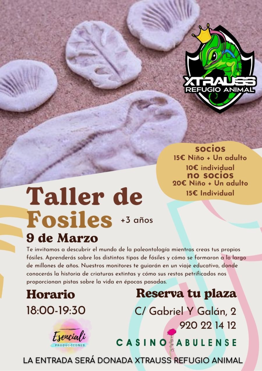 TALLER DE FÓSILES CASINO ABULENSE