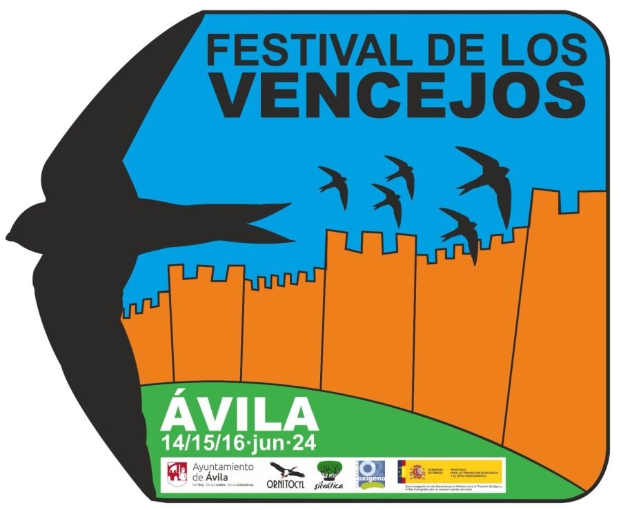 Festival de los Vencejos 2024 en Ávila