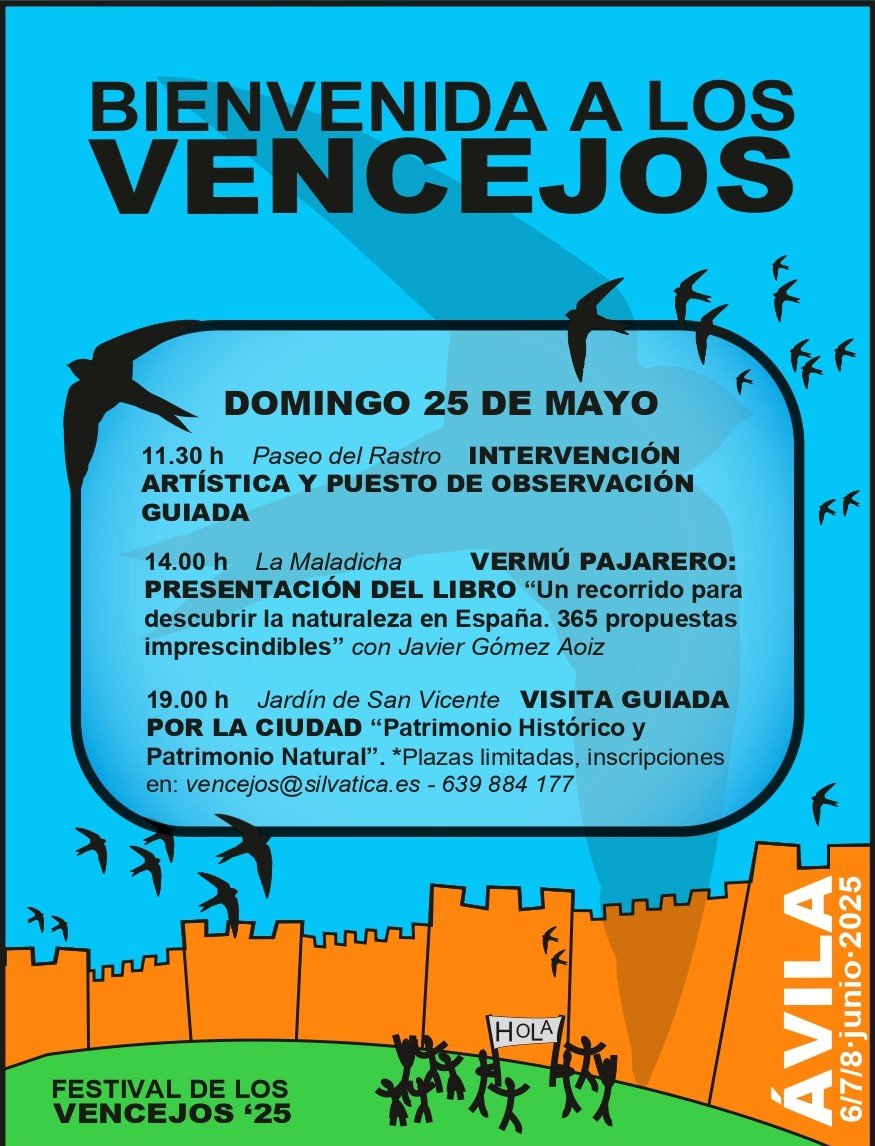 BIENVENIDA DE LOS VENCEJOS 2025