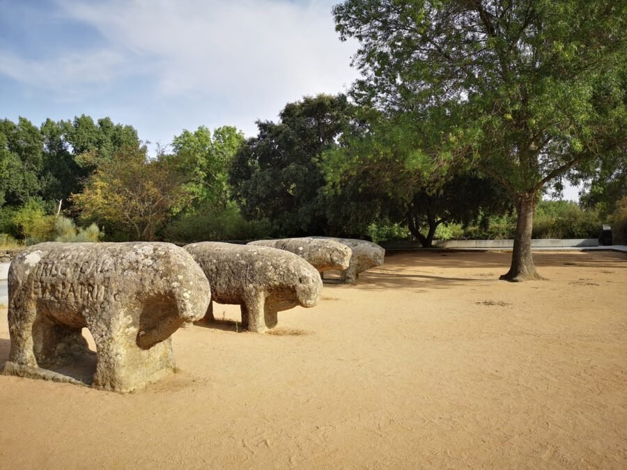 Visita guiada a los toros de guisando