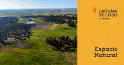 LAGUNA DEL OSO KERBEST