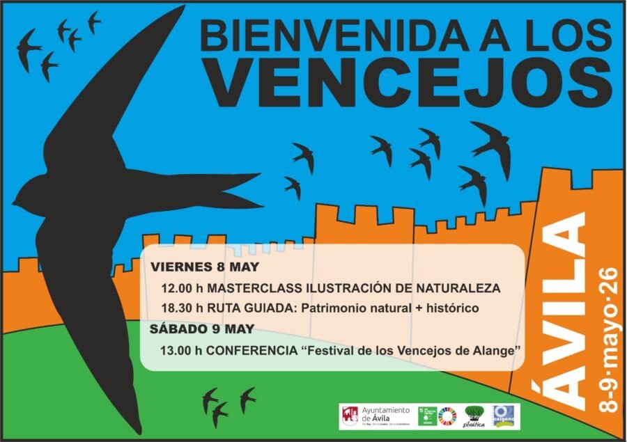 vencejos ávila