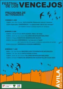 Festival de los Vencejos 2026 en Ávila