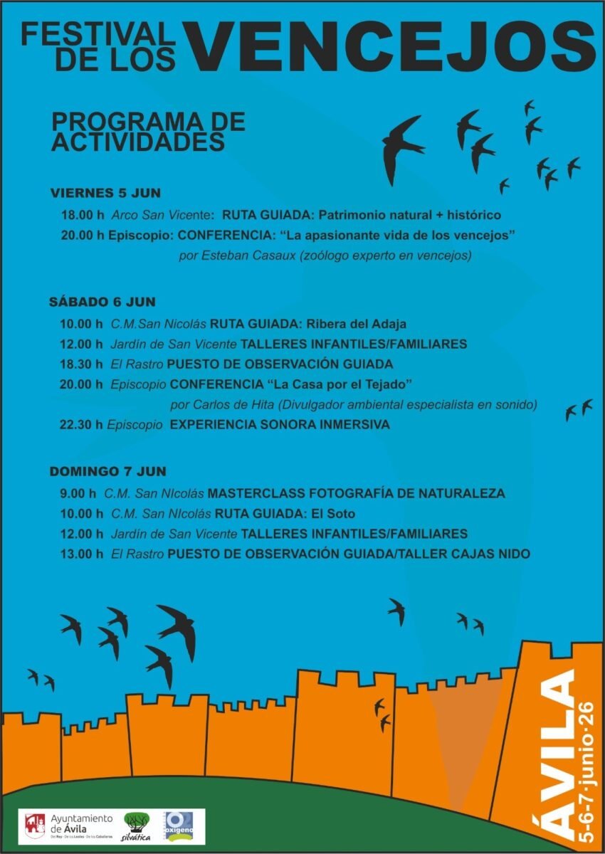 Festival de los Vencejos 2026 en Ávila