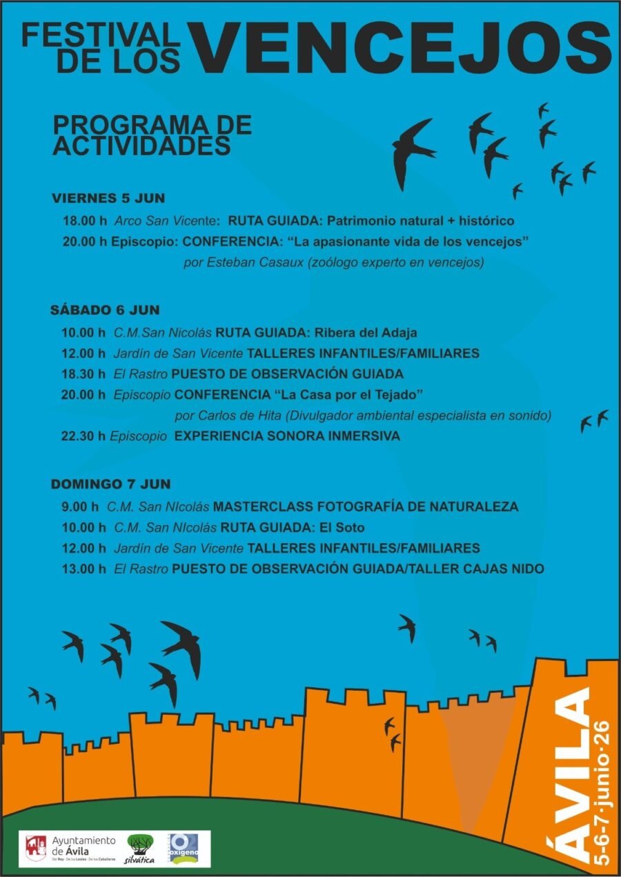 Festival de los Vencejos 2026 en Ávila