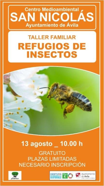 taller de refugio de insectos