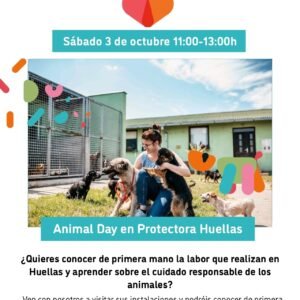 Animal Day de Kids&Us